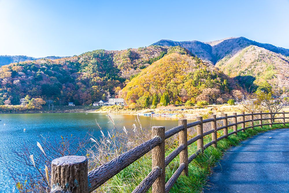 住宿與主題體驗