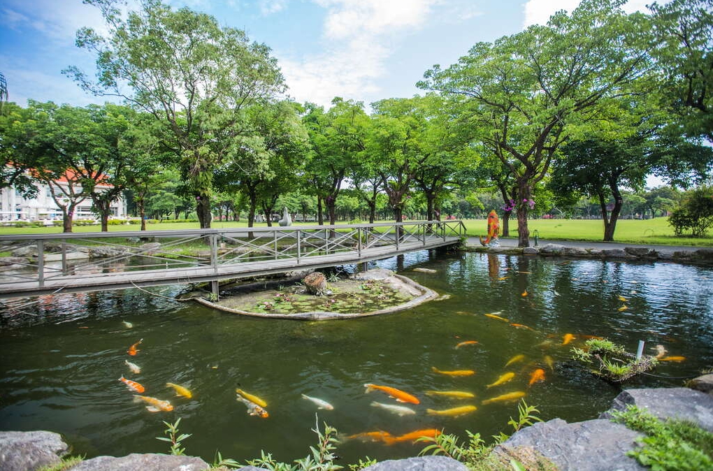 花蓮帶小孩去哪玩